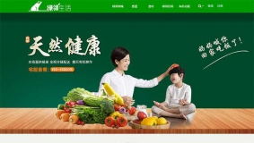 价值400元的 绿色清新discuz企业模板