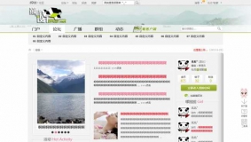 高仿19楼地方社区discuz X3.0模板免费分享