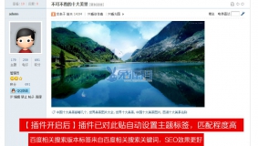 TAG标签自动获取SEO免费下载