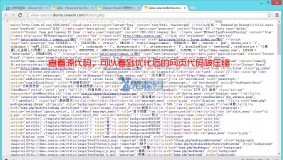①网页瘦身 标准版 2.0.1