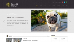 价值398元的奇趣分享-主题 商业完整【GBK+UTF8双版本】免费下载