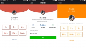 价值69元的【西瓜】微信打赏插件