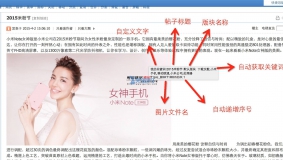 【价值80元】[seo]贴内alt优化 1.0免费下载