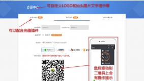 个人免签约VIP购买 v1.0 价值88元