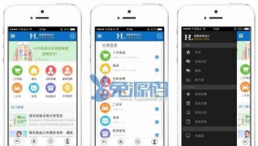 价值199元的HL手机分类信息 商业版完整版