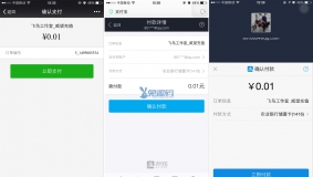 【价值99元】【飞鸟】支付中心 独享版 1.7.3免费下载