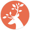 小专栏ico