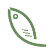 Catfish CMS博客系统ico