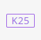 在线K25 (RAW)转换工具ico