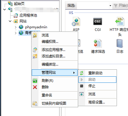 如何调出Internet Information Services (IIS)管理器并进行设置