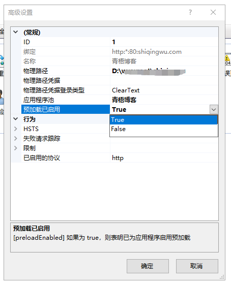 如何调出Internet Information Services (IIS)管理器并进行设置