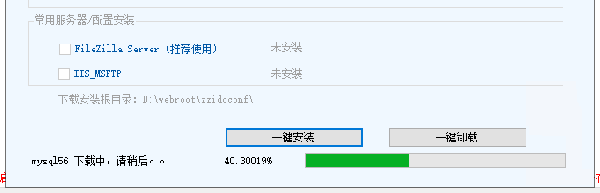 ÷phpphpmyadminIISȻرӦ